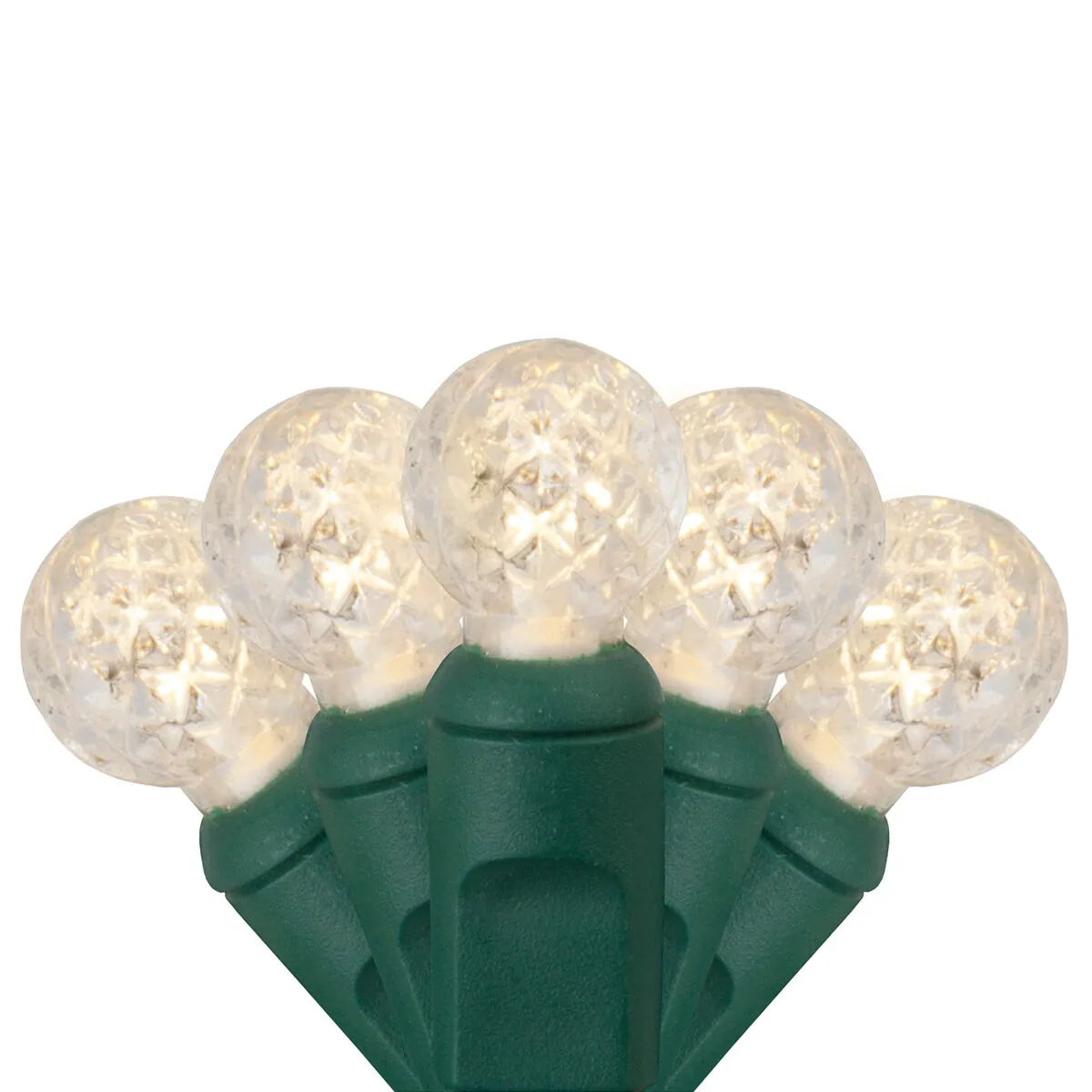 G12 Razzberry Warm White LED Christmas Lights on Green Wire - Wintergreen Lighting® 83959