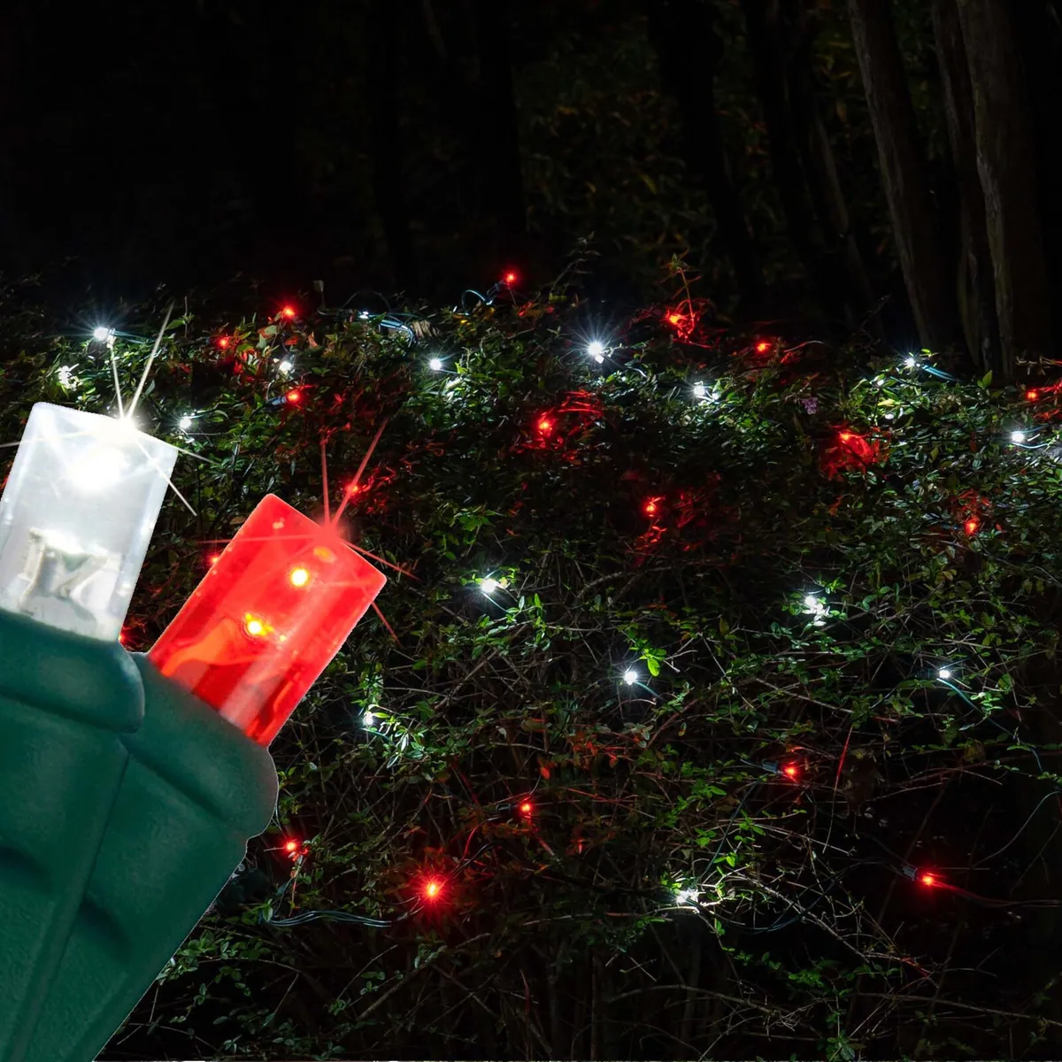 Red, Cool White Twinkle 5mm LED Christmas Net Lights on Green Wire - Wintergreen Lighting® 72481