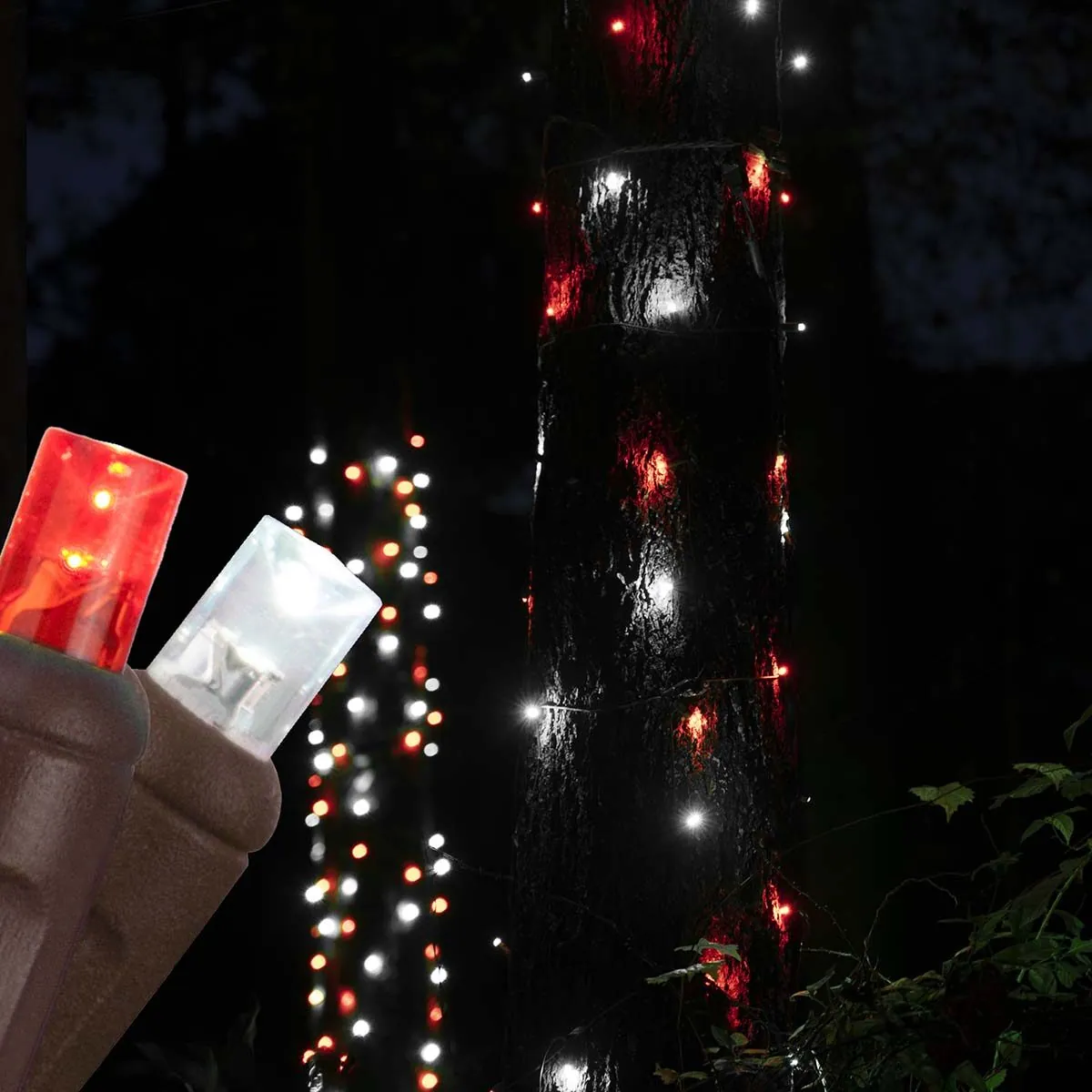 20" x 45" Red, Cool White StretchNet Pro 5mm LED Christmas Trunk Wrap Lights, 50 Lights on Brown Wire - Wintergreen Lighting® 81114