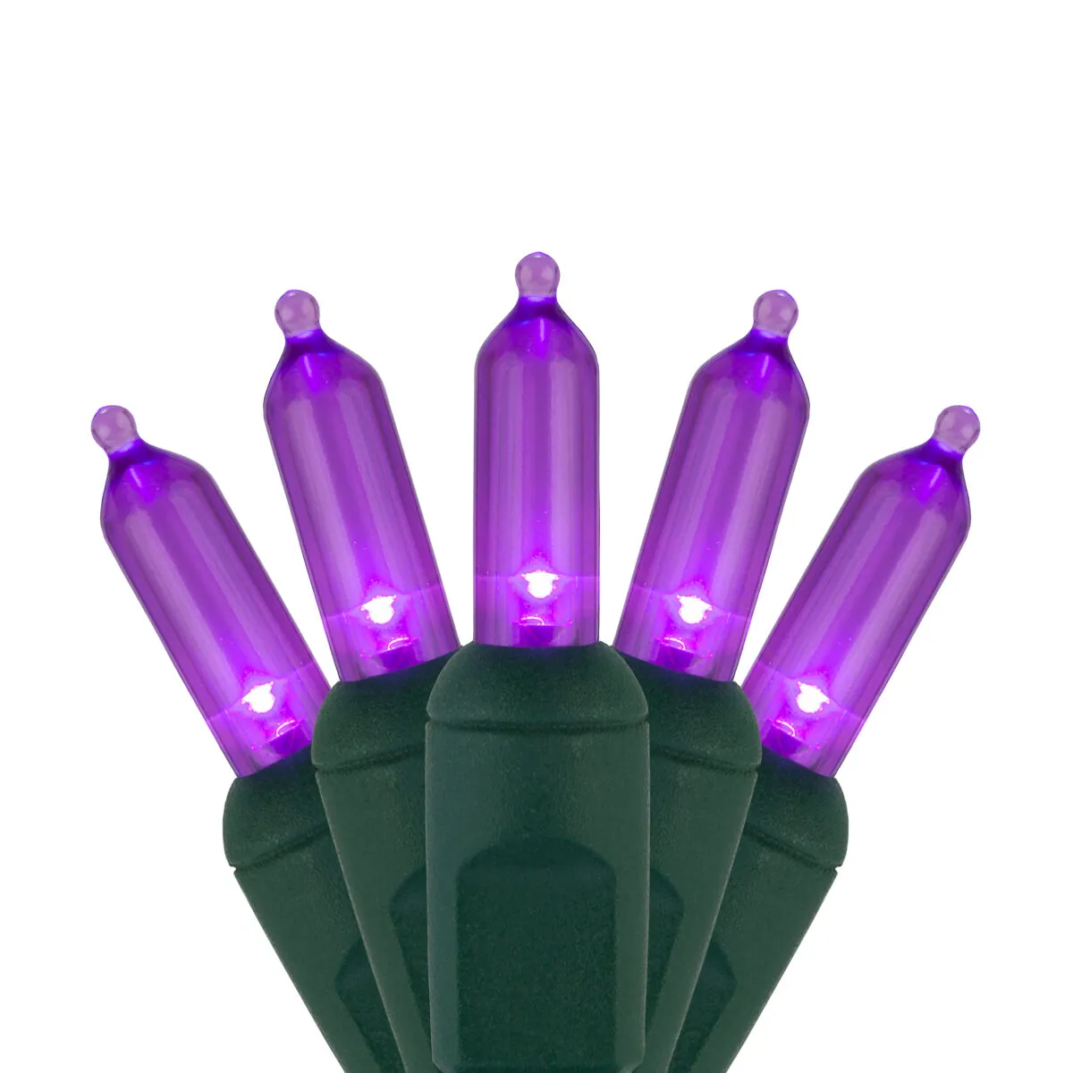 T5 Purple LED Christmas Tree Lights on Green Wire - Wintergreen Lighting® 83775
