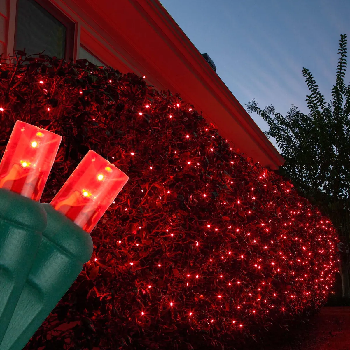 Red 5mm LED Christmas Net Lights on Green Wire - Wintergreen Lighting® 85466