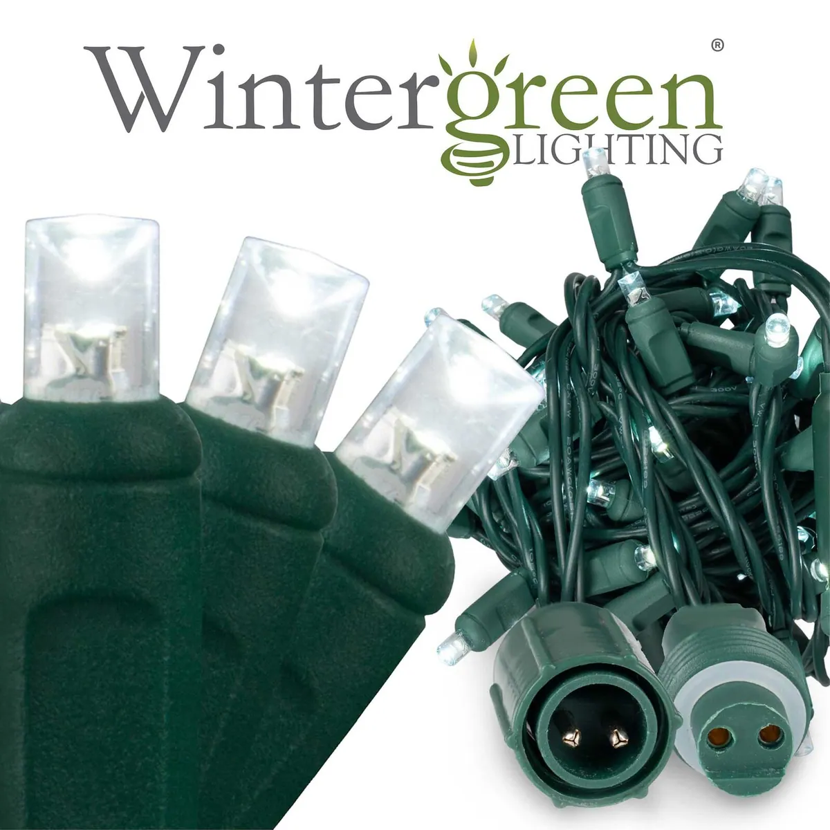 WeatherPROTM Commercial 5mm Wide Angle Cool White LED Christmas Lights on Green Wire - Wintergreen Lighting® 84230