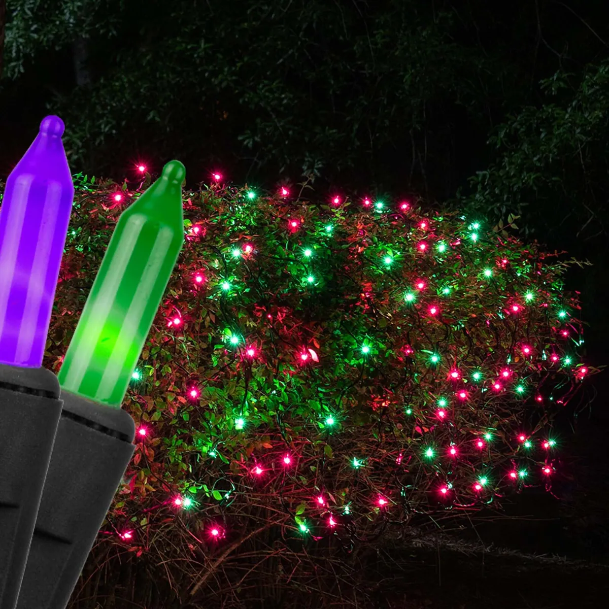 Purple, Green Halloween Net Lights on Black Wire - Kringle Traditions® 76399