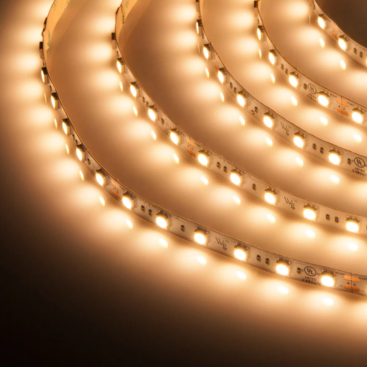 Champagne Warm White 24V LED Strip Light - Wintergreen Lighting® 74630