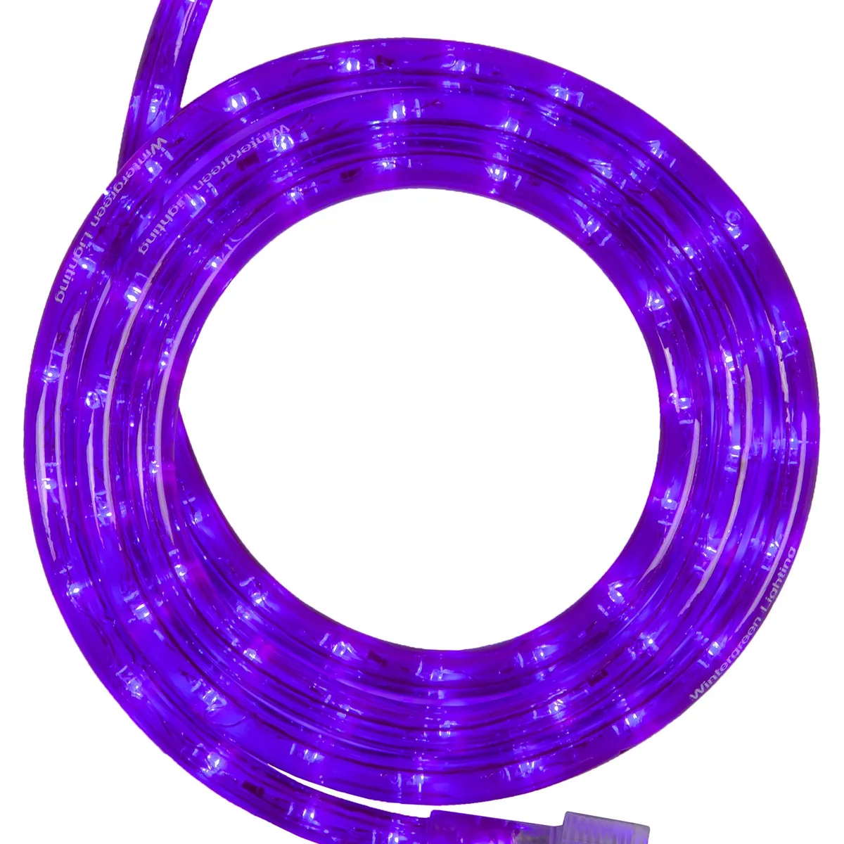 Purple LED Rope Light, 18 ft - Wintergreen Lighting® 80352