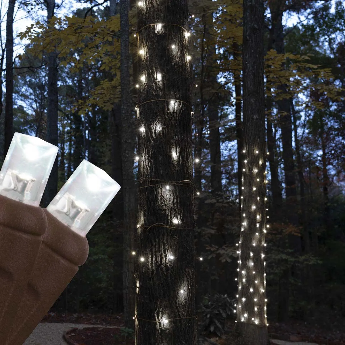Cool White StretchNet Pro® 5mm LED Trunk Wrap Lights on Brown Wire — MEDIUM 20" x 45", 50 Lights, Stretches to 37" - Wintergreen Lighting® 81102