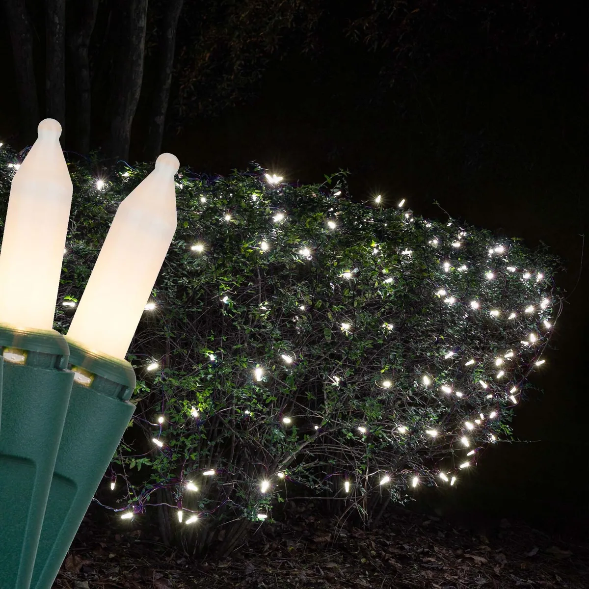 White Frost Mini Christmas Net Lights on Green Wire - Kringle Traditions® 15251