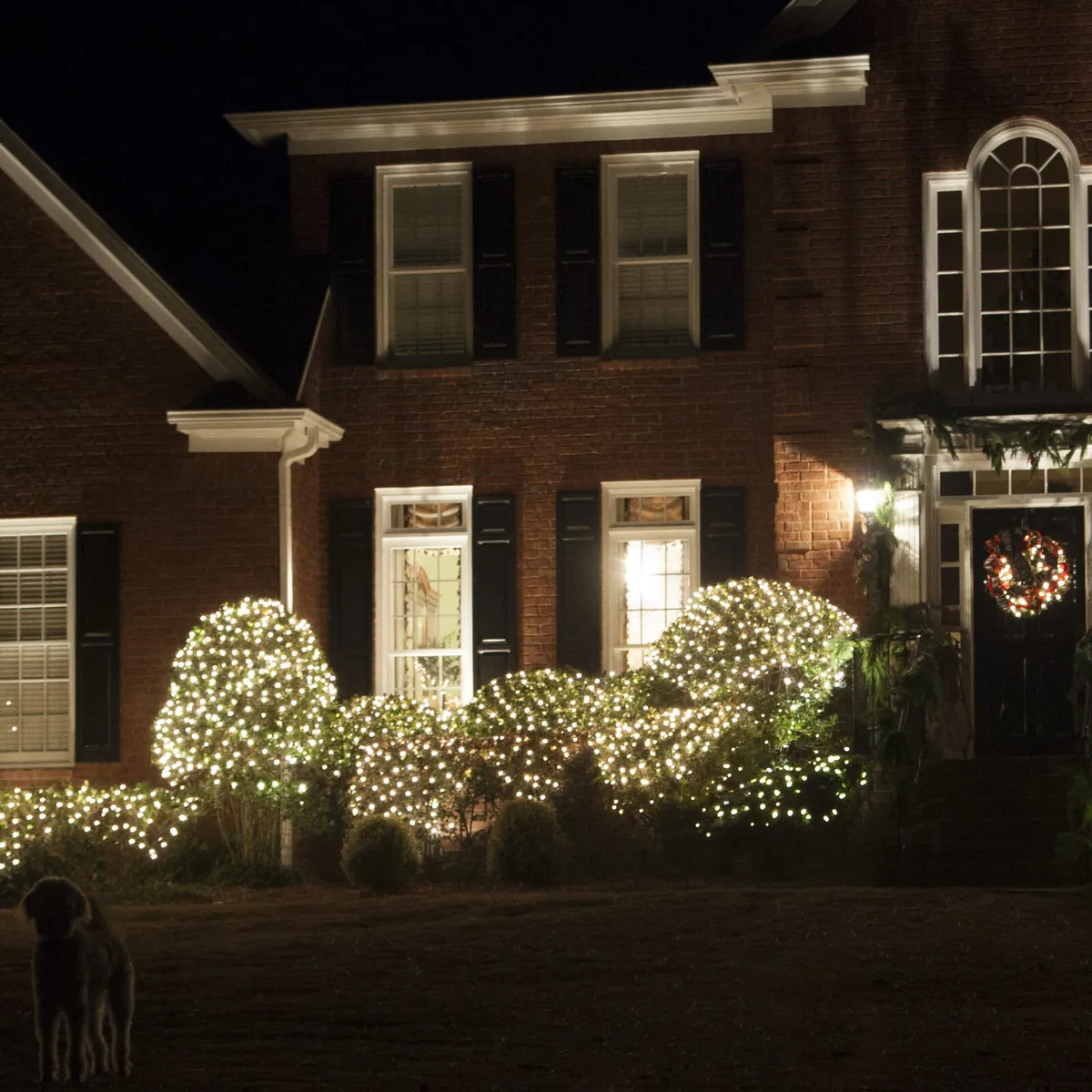4' x 6' Mini Clear Mini Christmas Net Lights, 150 Lights on Green Wire - Kringle Traditions® 15245