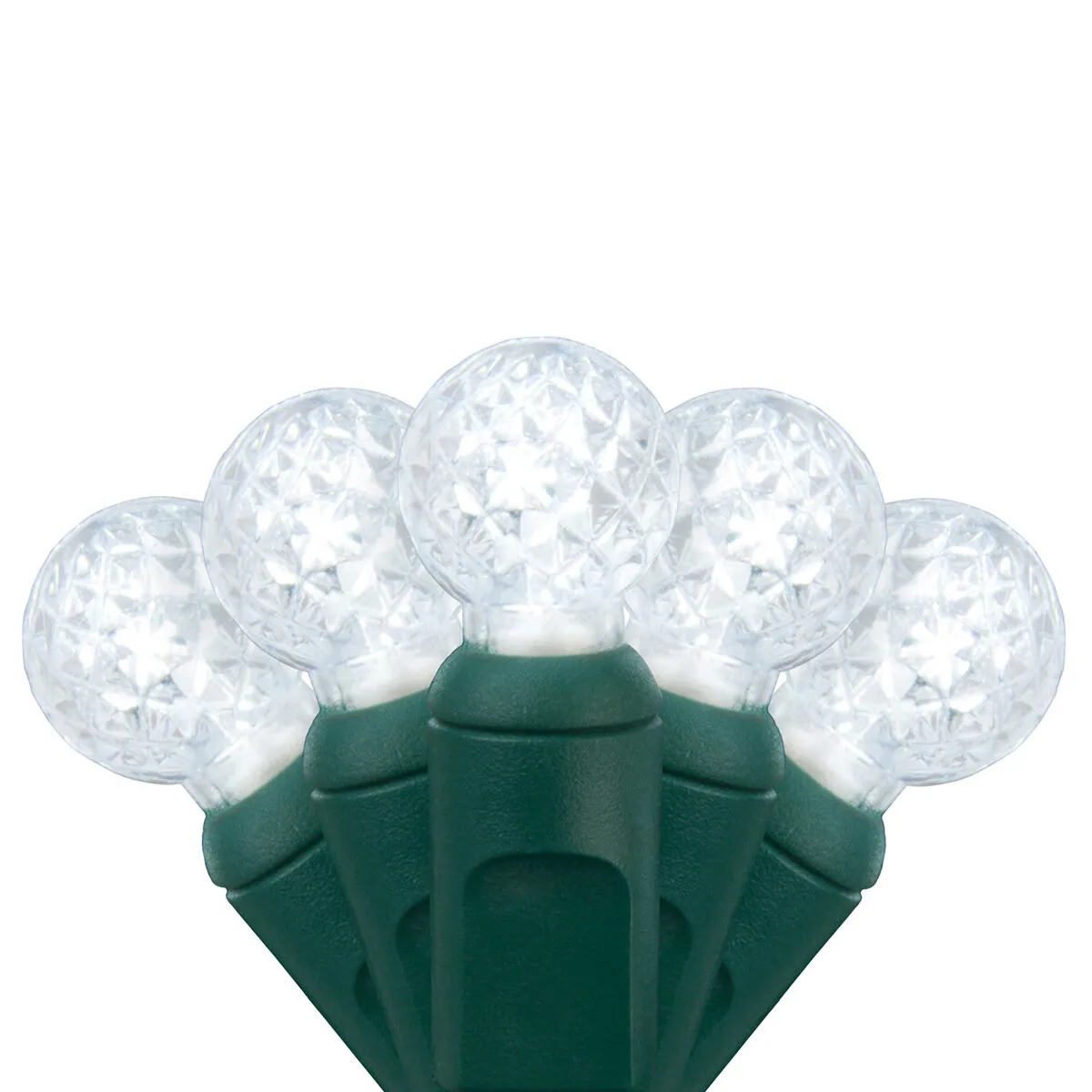 G12 Razzberry Cool White LED Christmas Lights on Green Wire - Wintergreen Lighting® 83967